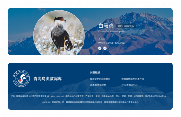 高端網(wǎng)站設(shè)計(jì)